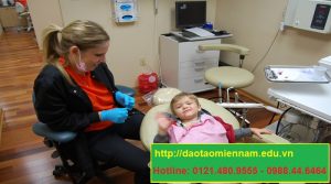 chứng chỉ y sỹ nha khoa tại vĩnh thạnh