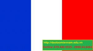 chứng chỉ tiếng pháp b tại quận 8