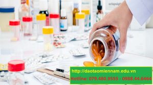 liên thông cao đẳng dược tại bình chánh