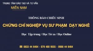 Chung chi nghiep vu su pham day nghe