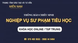 Nghiệp vụ Sư phạm dành cho Giáo viên Tiểu học tại TPHCM