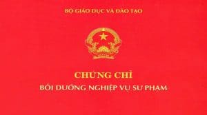 Mẫu Chứng chỉ Nghiệp vụ Sư phạm
