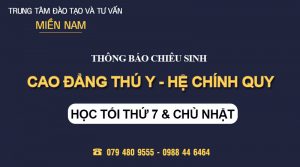 Tuyển sinh Cao đẳng Thú Y - Hệ Chính quy
