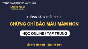 Chứng chỉ Bảo mẫu mầm non tại TPHCM