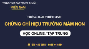 Chứng chỉ Hiệu trưởng trường mầm non