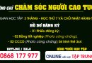 Khóa học Chăm sóc người Cao tuổi - Chăm sóc người già