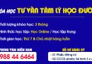Khóa học Tư vấn Tâm lý học đường - Học Online