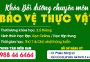Chứng nhận Bảo vệ thực vật