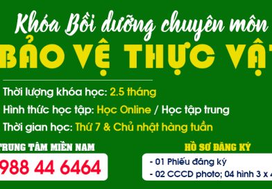 Chứng nhận Bảo vệ thực vật