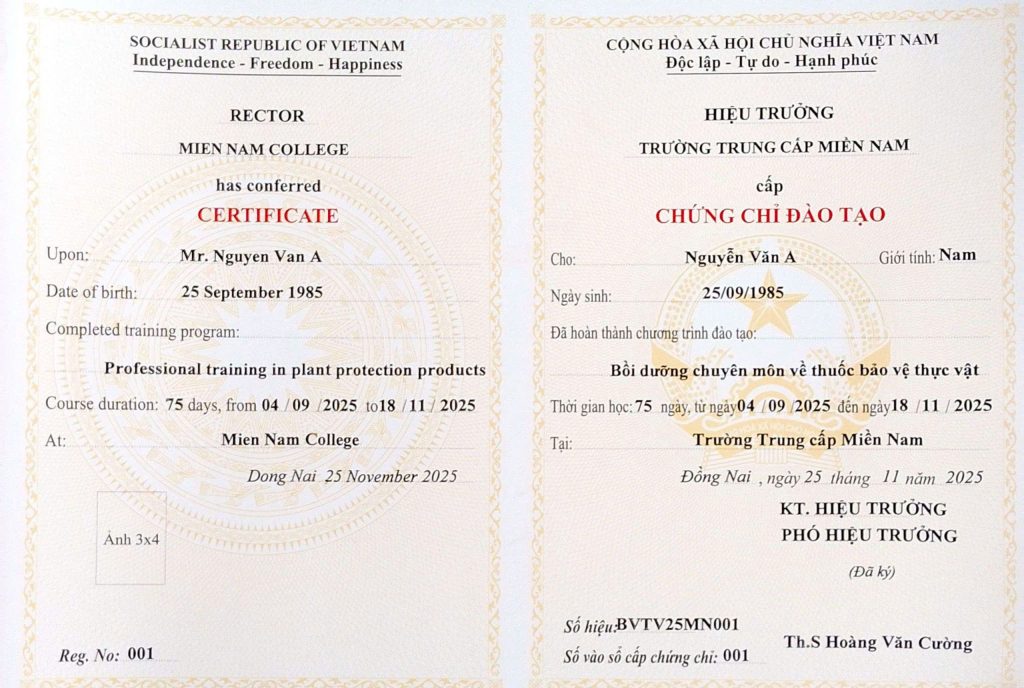 Mẫu Chứng nhận Bồi dưỡng chuyên môn tốt nghiệp