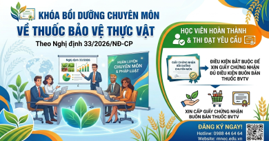 Lớp Bồi dưỡng Chuyên môn Thuốc Bảo vệ thực vật tại Bình Định