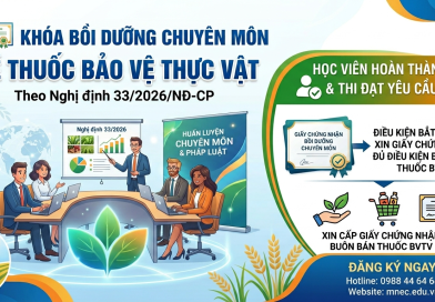 Lớp Bồi dưỡng Chuyên môn Thuốc Bảo vệ thực vật tại Bình Định
