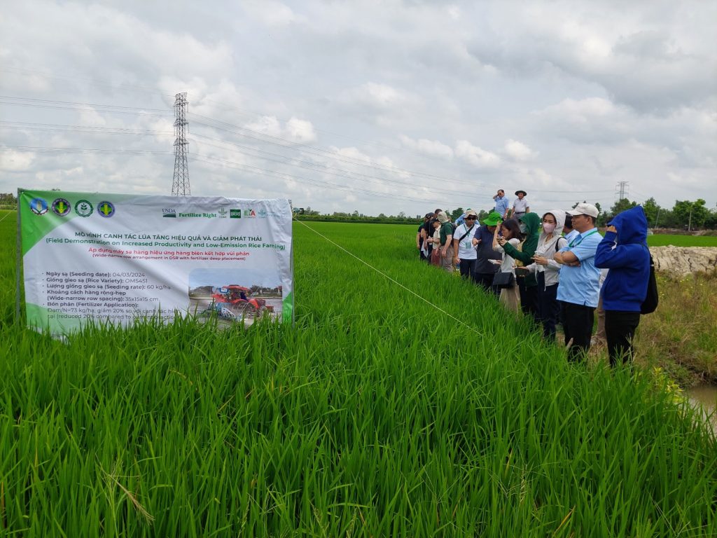 Thực nghiệm sử dụng Phân bón hiện nay